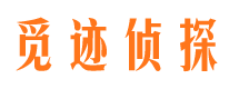 河间侦探公司